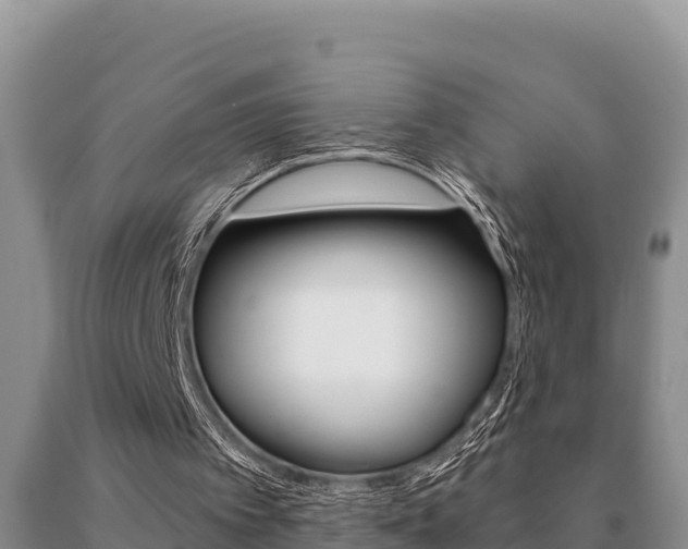 X0000091070097200708061032