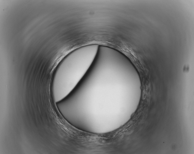 X0000091070098200708061032