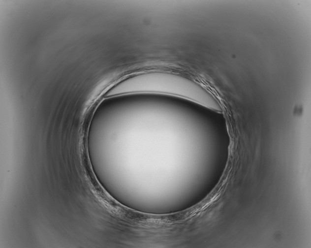 X0000091070101200708061032