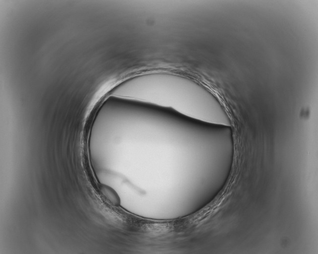 X0000091070102200708061032