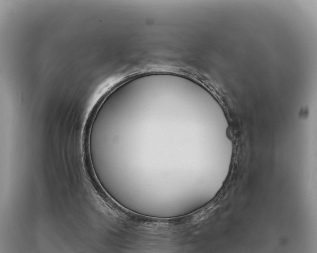 X0000091070104200708061032