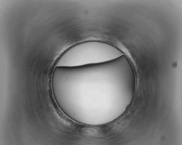 X0000091070106200708061032
