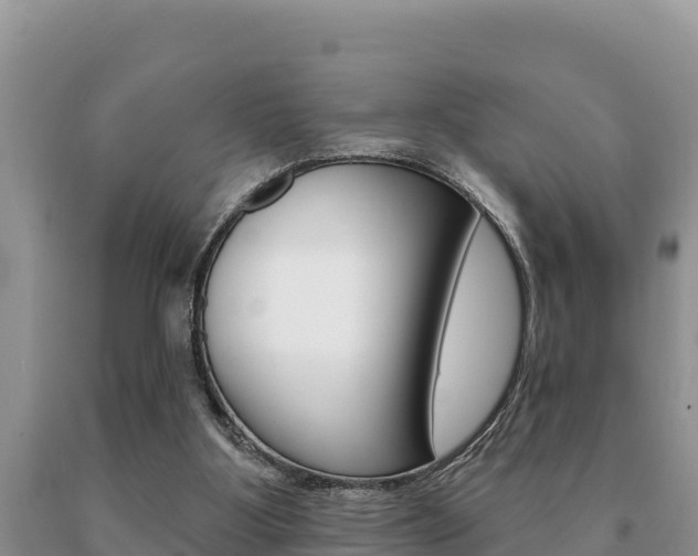 X0000091070107200708061032