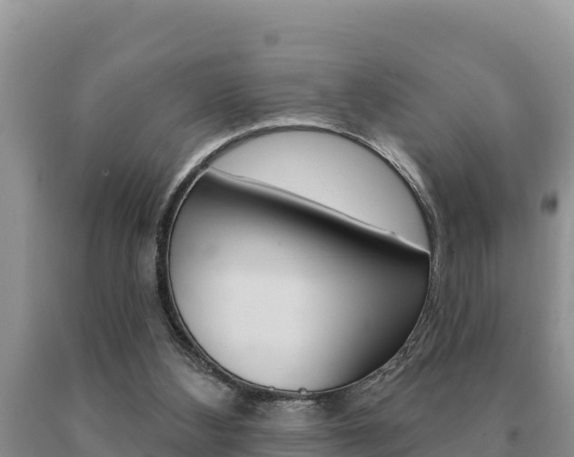 X0000091070108200708061032