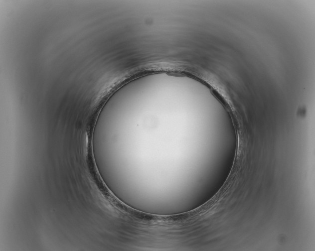 X0000091070109200708061032