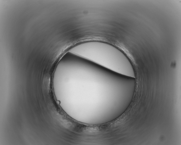 X0000091070110200708061032