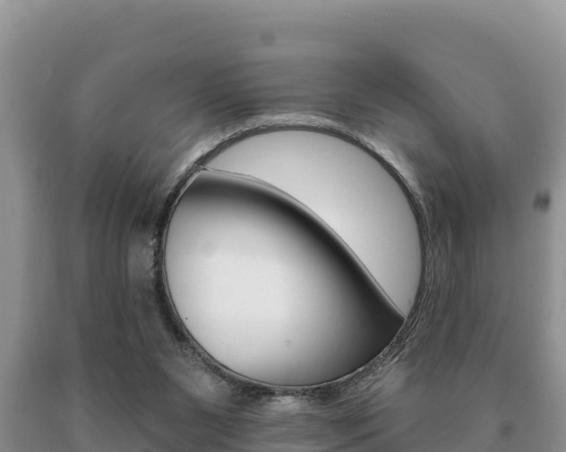 X0000091070111200708061032