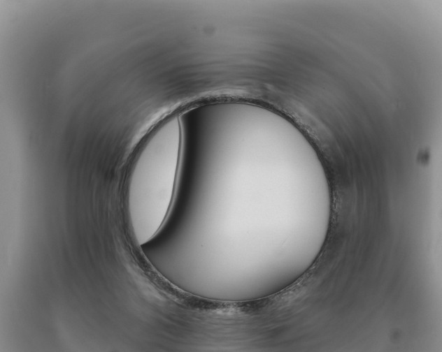 X0000091070112200708061032