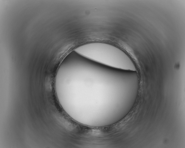X0000091070114200708061032