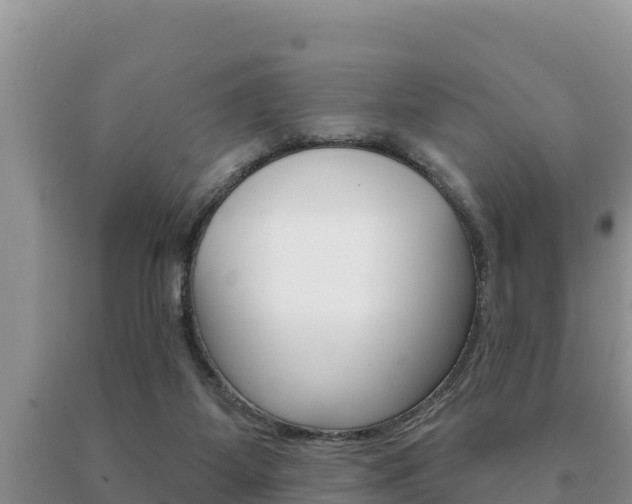 X0000091070115200708061032