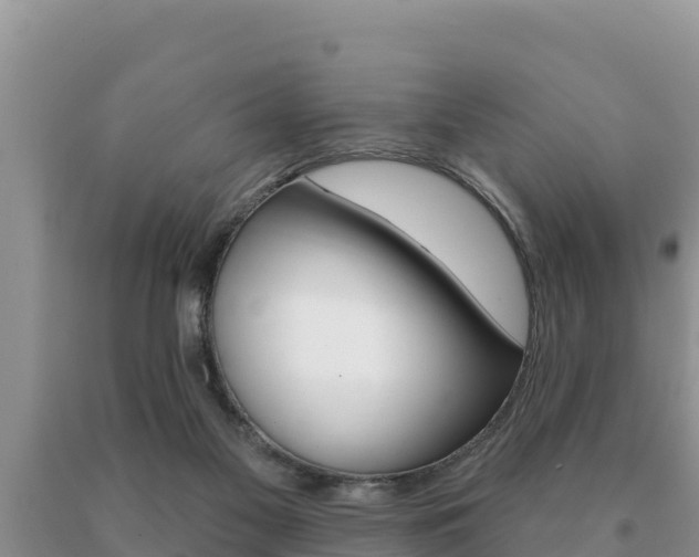 X0000091070117200708061031