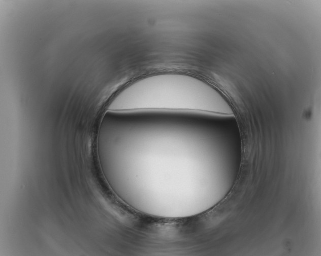 X0000091070120200708061031
