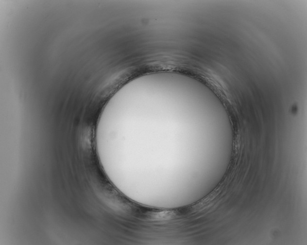 X0000091070122200708061031