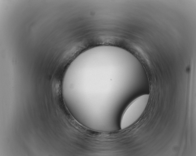X0000091070123200708061031