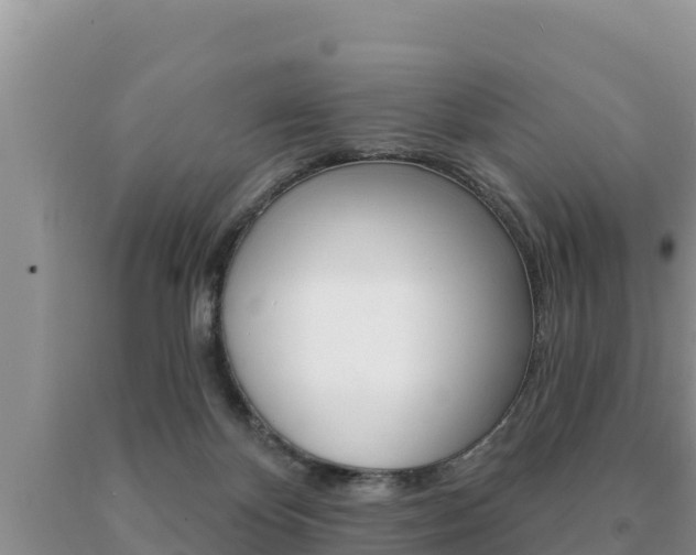 X0000091070124200708061031