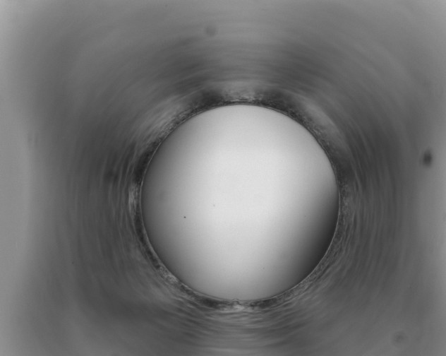 X0000091070125200708061031