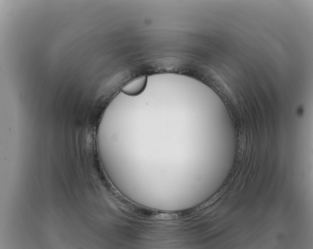 X0000091070126200708061031