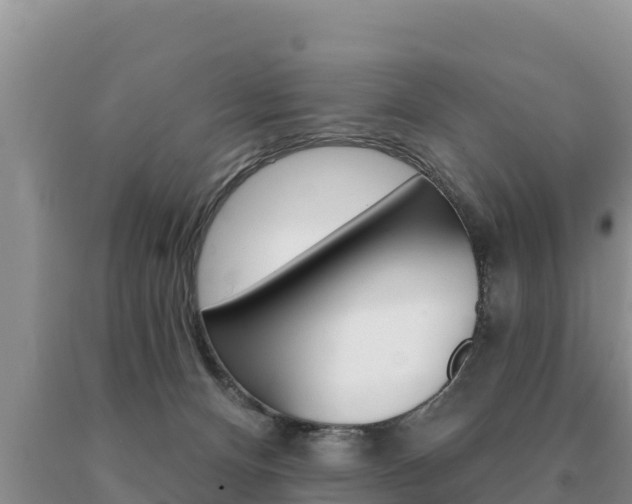X0000091070128200708061031