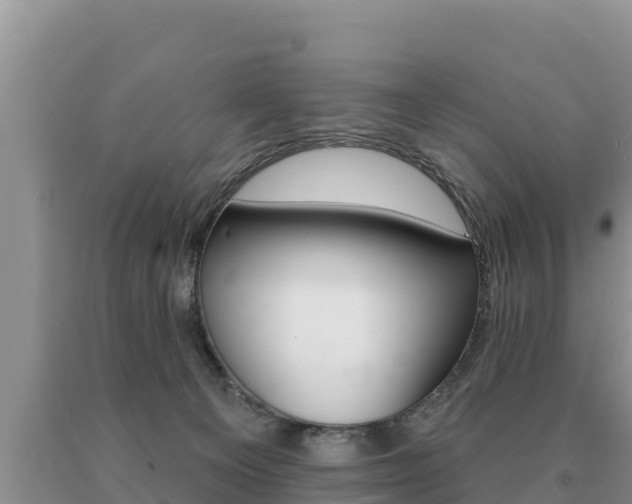 X0000091070129200708061031