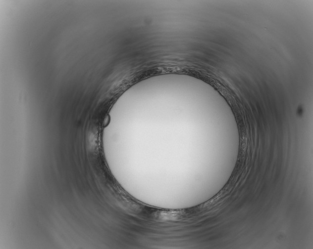 X0000091070134200708061031
