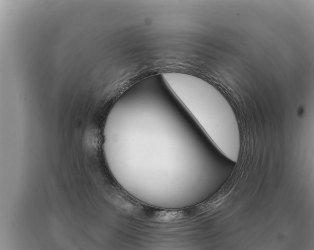 X0000091070135200708061031