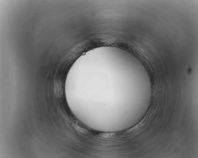 X0000091070136200708061031