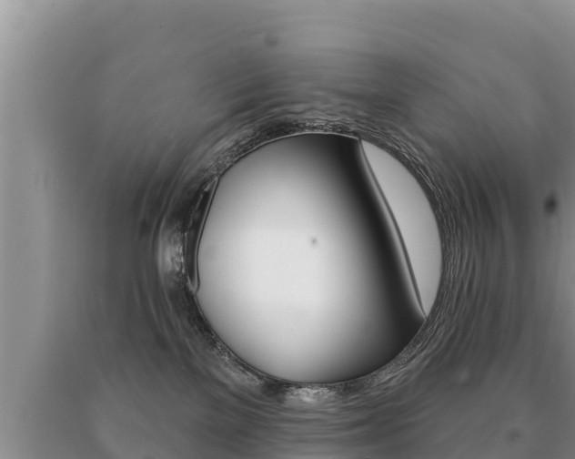 X0000091070137200708061031