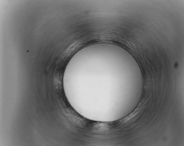 X0000091070140200708061031