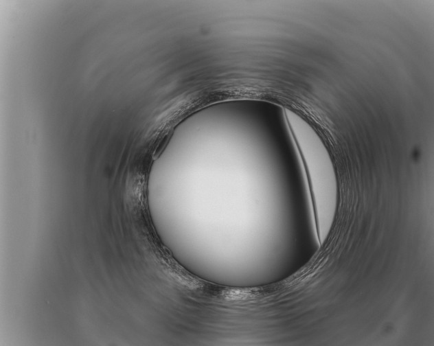 X0000091070141200708061031