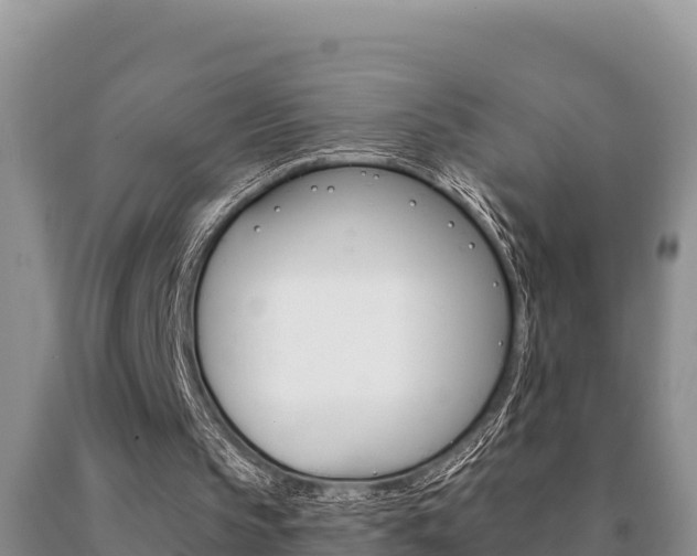 X0000091070145200708061030