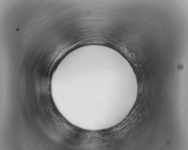 X0000091070146200708061030