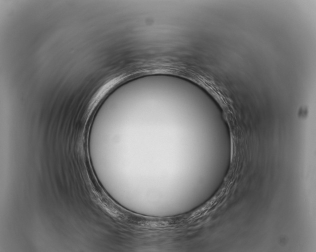 X0000091070147200708061030