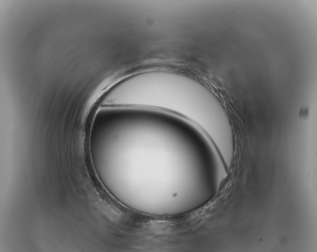 X0000091070150200708061031