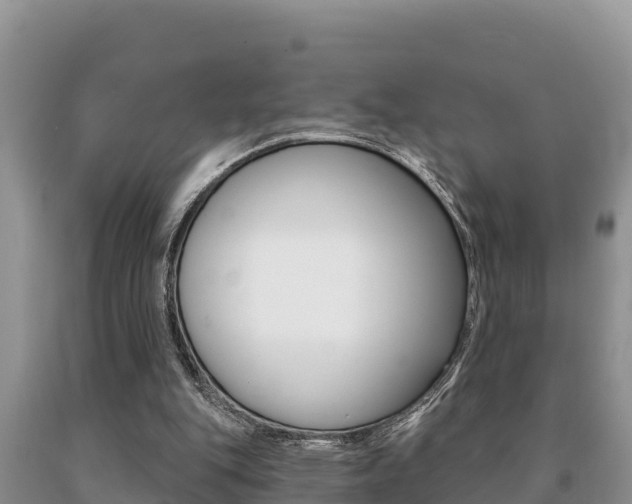 X0000091070151200708061031