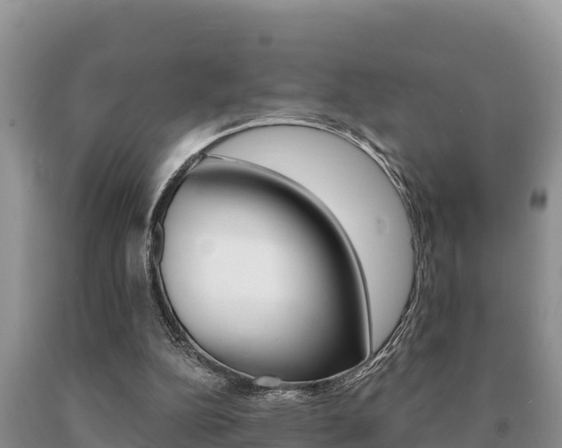 X0000091070152200708061031