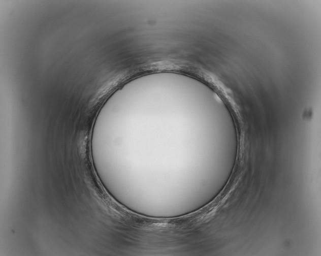 X0000091070153200708061031