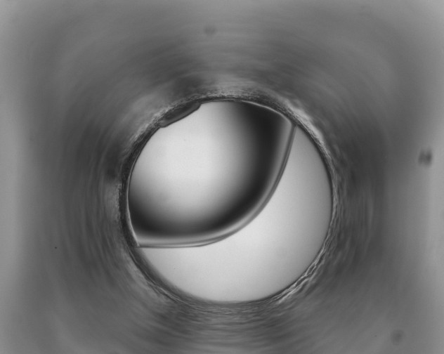X0000091070154200708061031