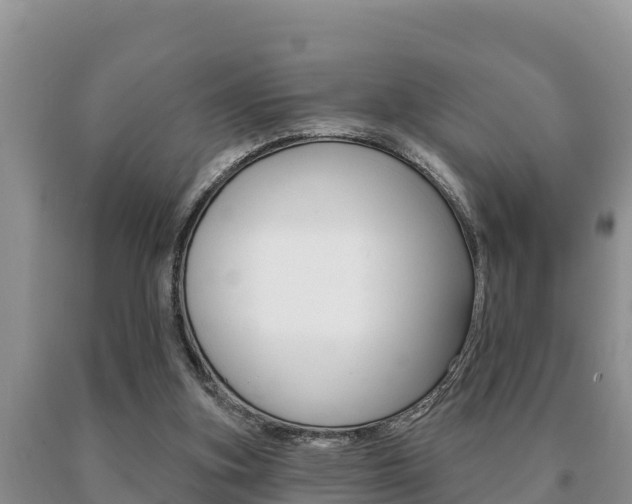 X0000091070155200708061031