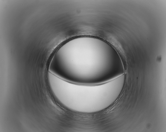 X0000091070156200708061031