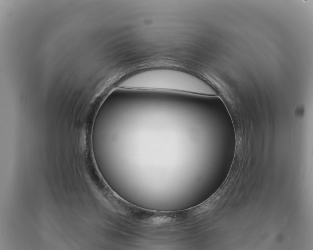 X0000091070158200708061031