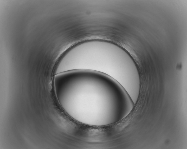 X0000091070160200708061031