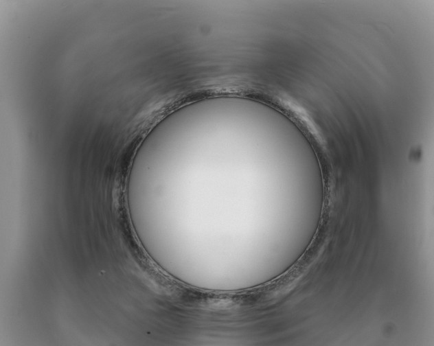 X0000091070161200708061031