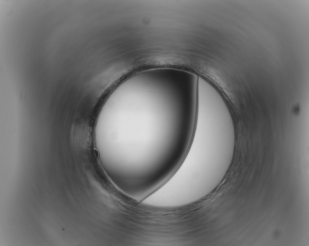 X0000091070164200708061031