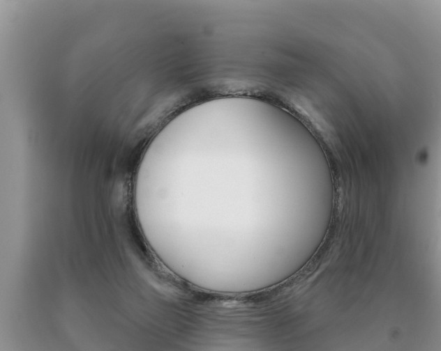 X0000091070165200708061031