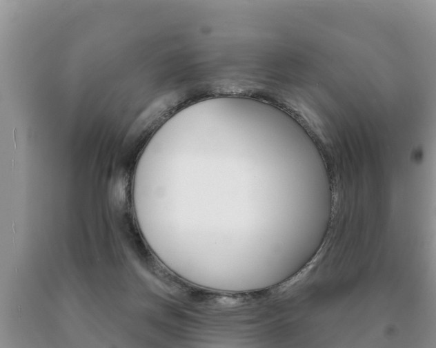 X0000091070166200708061031