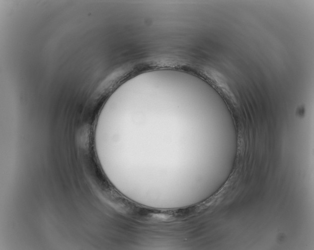 X0000091070167200708061031