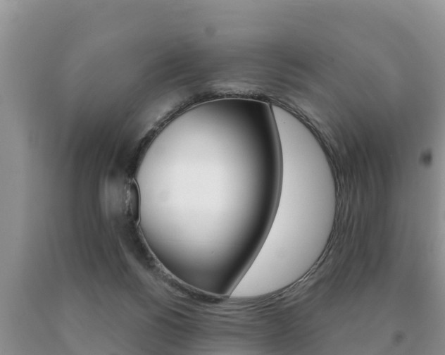 X0000091070168200708061031
