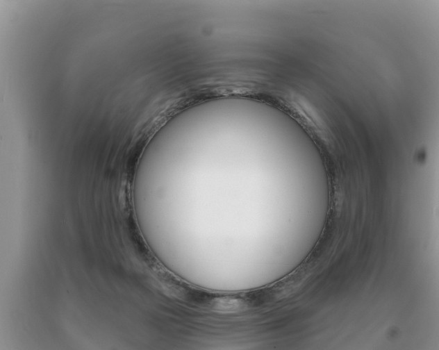 X0000091070169200708061031