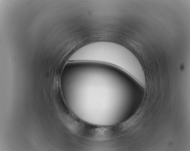 X0000091070172200708061031