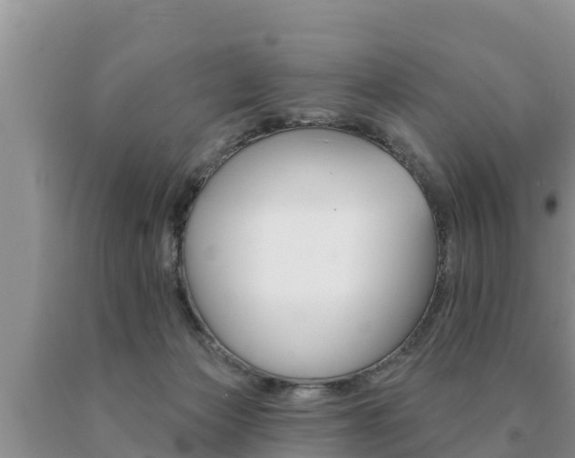 X0000091070173200708061031